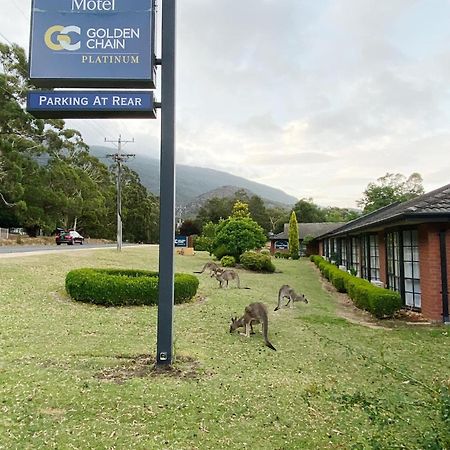 Golden Chain Country Plaza Motel Halls Gap Exterior photo