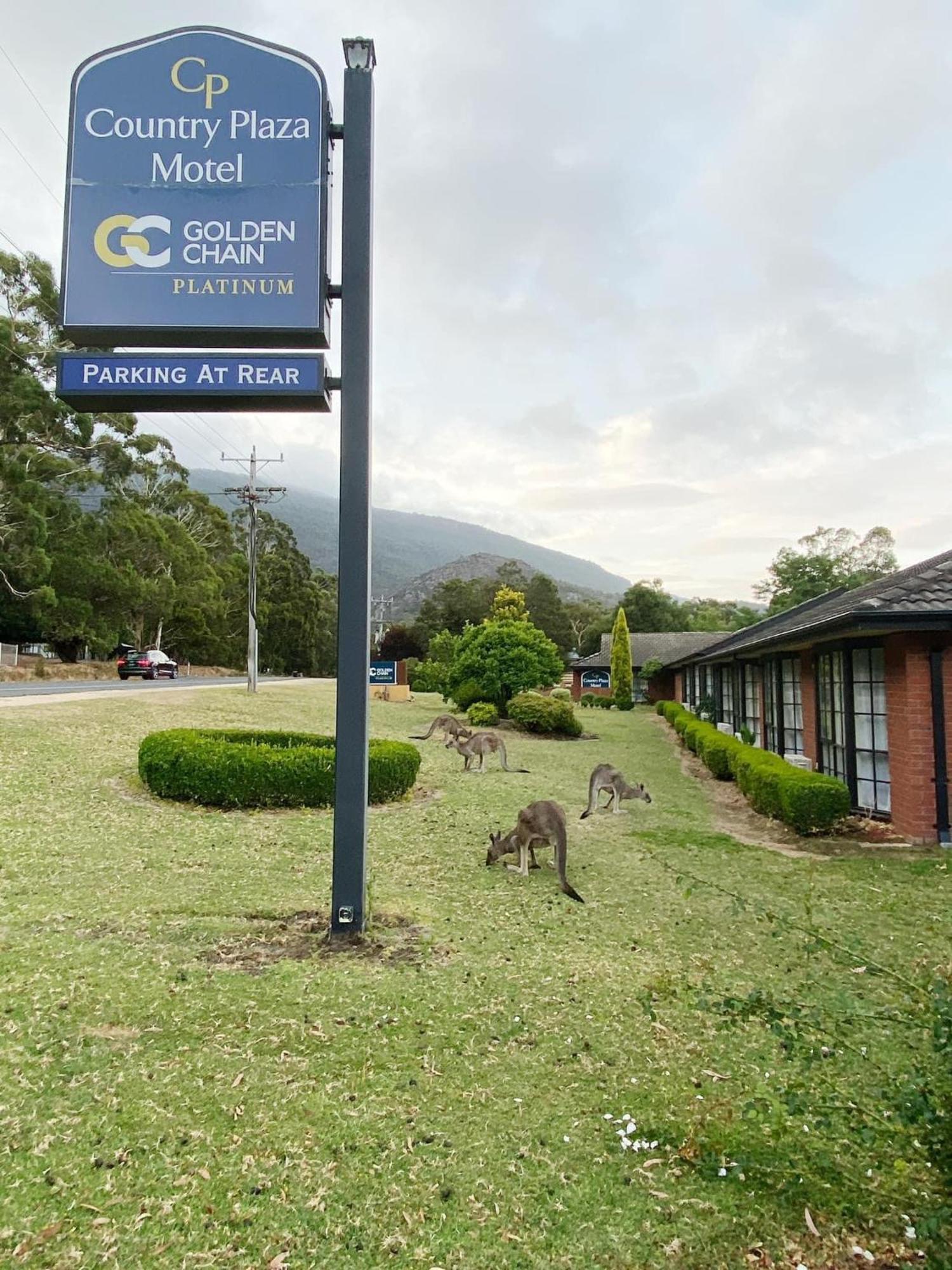 Golden Chain Country Plaza Motel Halls Gap Exterior photo
